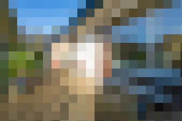 Herodotuslaan 31 Assen thumbnail 33