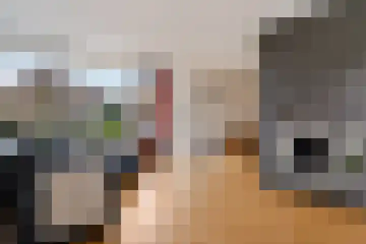 Herodotuslaan 31 Assen thumbnail 8
