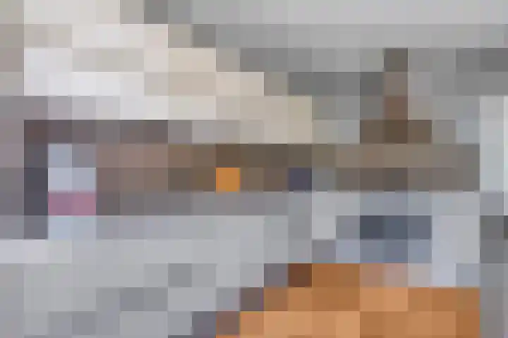 Herodotuslaan 4 Assen thumbnail 18