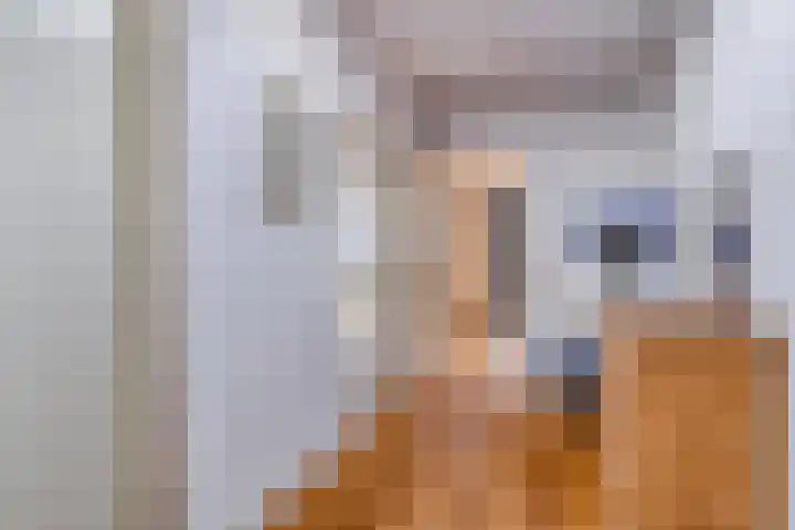 Herodotuslaan 4 Assen thumbnail 22