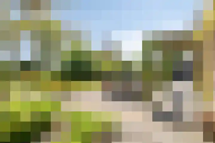 Herodotuslaan 4 Assen thumbnail 33