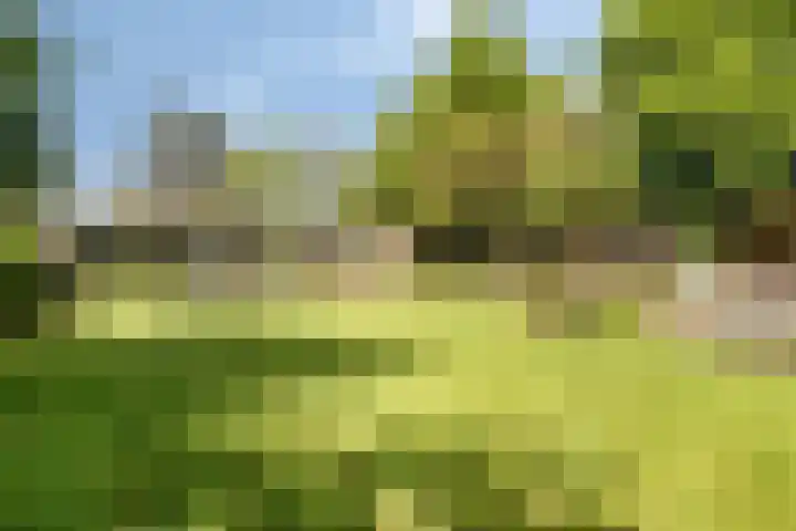 Herodotuslaan 4 Assen thumbnail 37