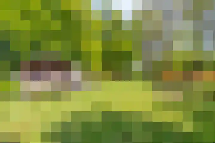 Herodotuslaan 4 Assen thumbnail 38