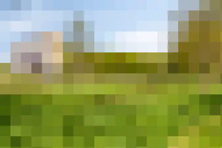 Herodotuslaan 4 Assen thumbnail 40