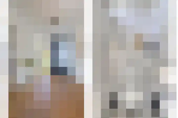 Herodotuslaan 4 Assen thumbnail 8