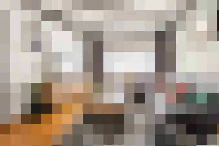 Herpenstraat 82 Uden thumbnail 6