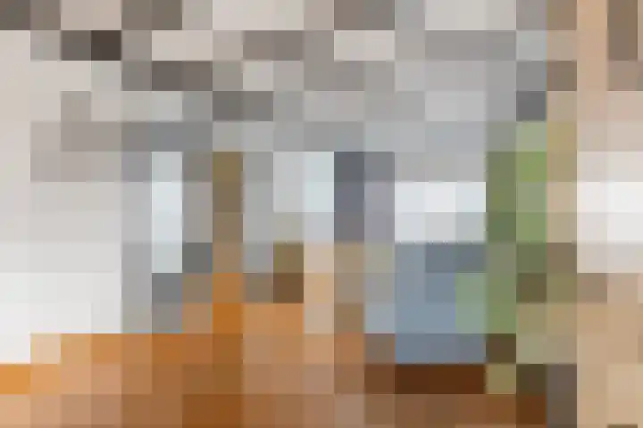 Herpenstraat 82 Uden thumbnail 8