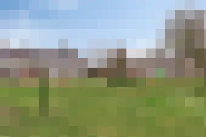 Herpenstraat 96 Uden thumbnail 33