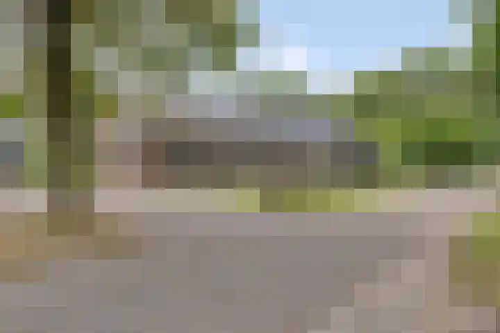 Hersel 3 Lierop