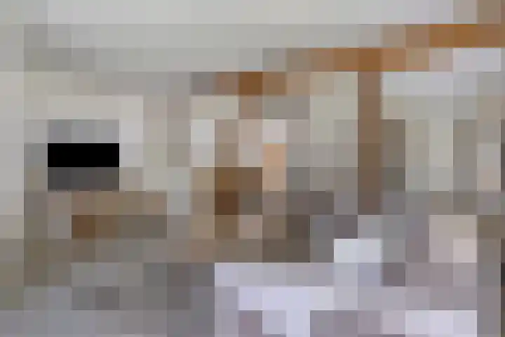 Hersel 3 Lierop thumbnail 14