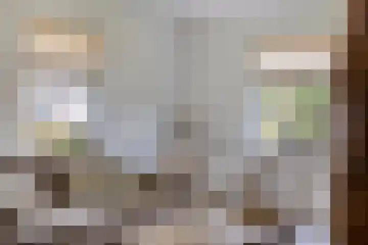 Hersel 3 Lierop thumbnail 18