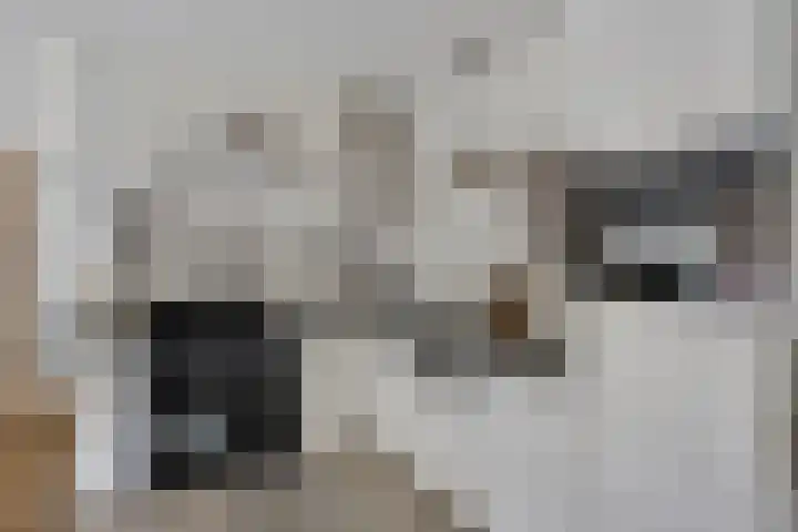 Hersel 3 Lierop thumbnail 19