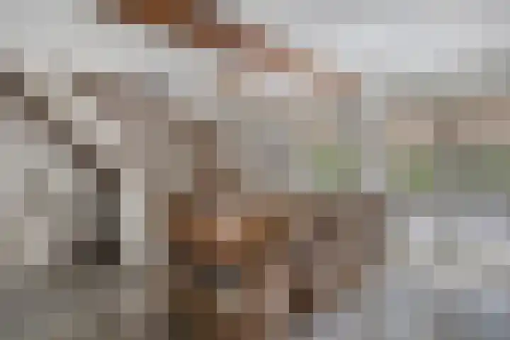Hersel 3 Lierop thumbnail 26
