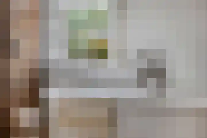 Hersel 3 Lierop thumbnail 33