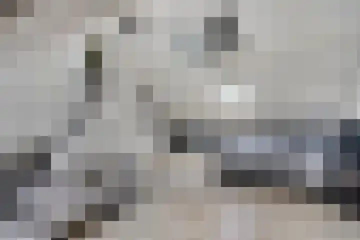 Hersel 3 Lierop thumbnail 42