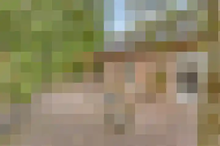 Hersel 3 Lierop thumbnail 48