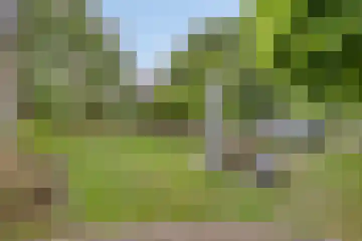 Hersel 3 Lierop thumbnail 52