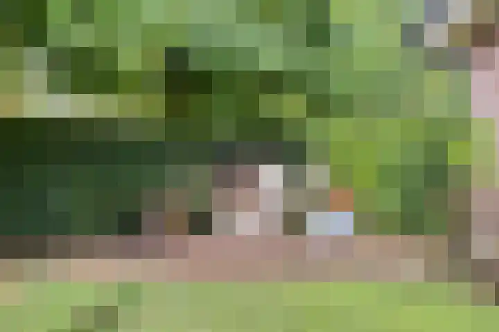 Hersel 3 Lierop thumbnail 54