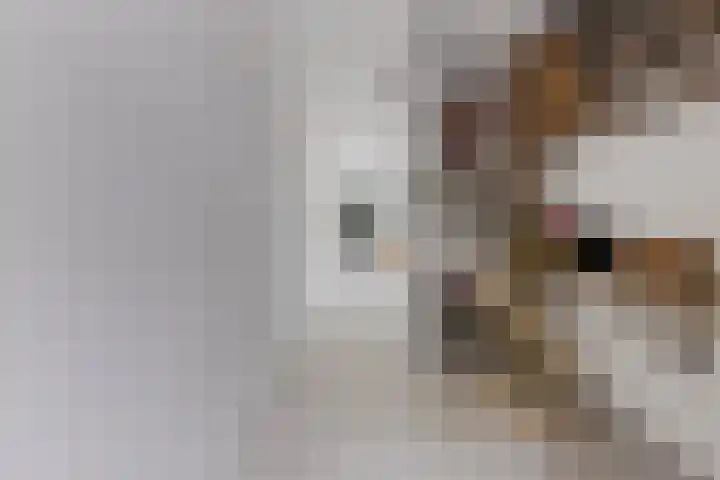 Herstallenstraat 5 Goirle thumbnail 10