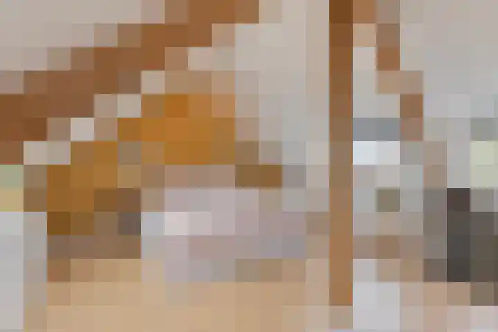 Herstallenstraat 5 Goirle thumbnail 34