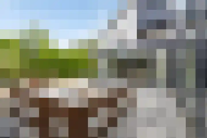 Herstallenstraat 5 Goirle thumbnail 40