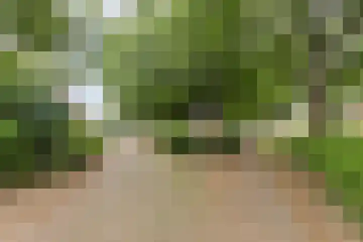 Herstallenstraat 5 Goirle thumbnail 43