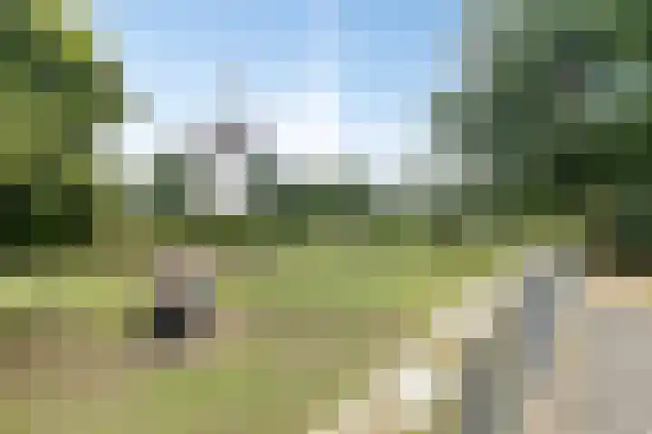 Herstallenstraat 5 Goirle thumbnail 44