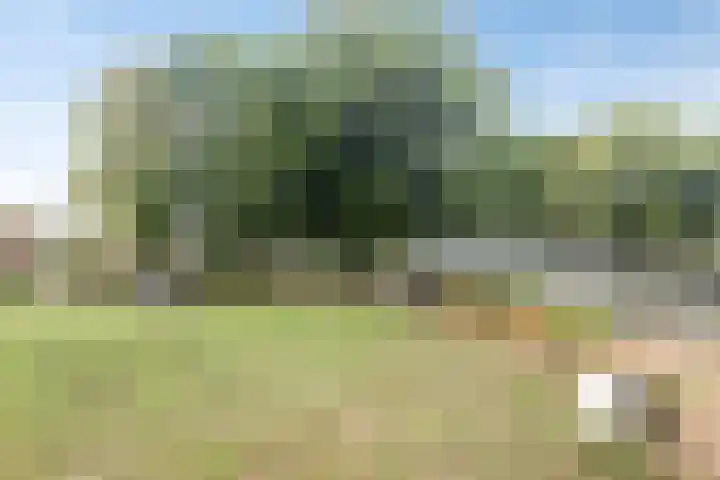 Herstallenstraat 5 Goirle thumbnail 45