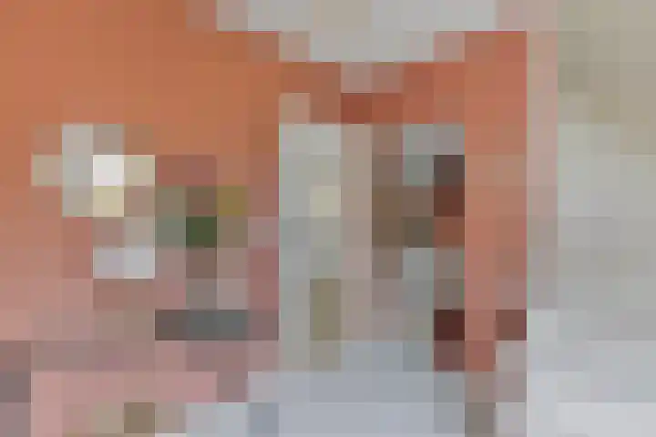 Herstallenstraat 5 Goirle thumbnail 8