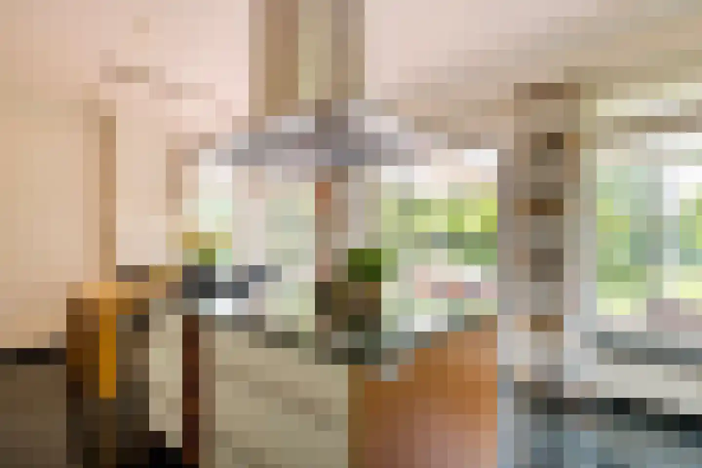 Herstraat 61 Horst thumbnail 20
