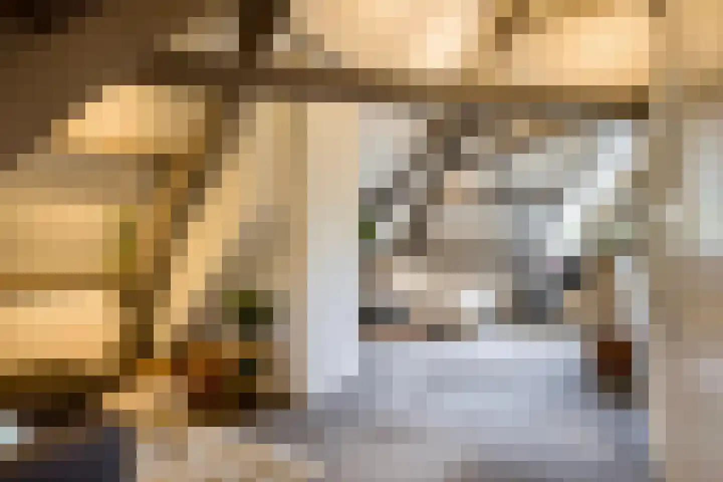 Herstraat 61 Horst thumbnail 36