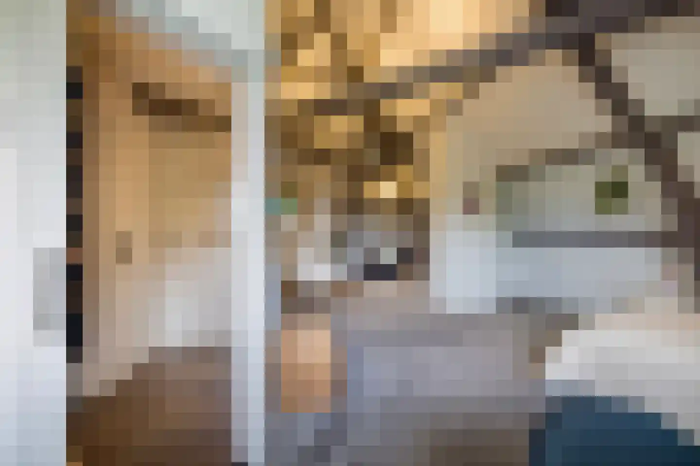 Herstraat 61 Horst thumbnail 39
