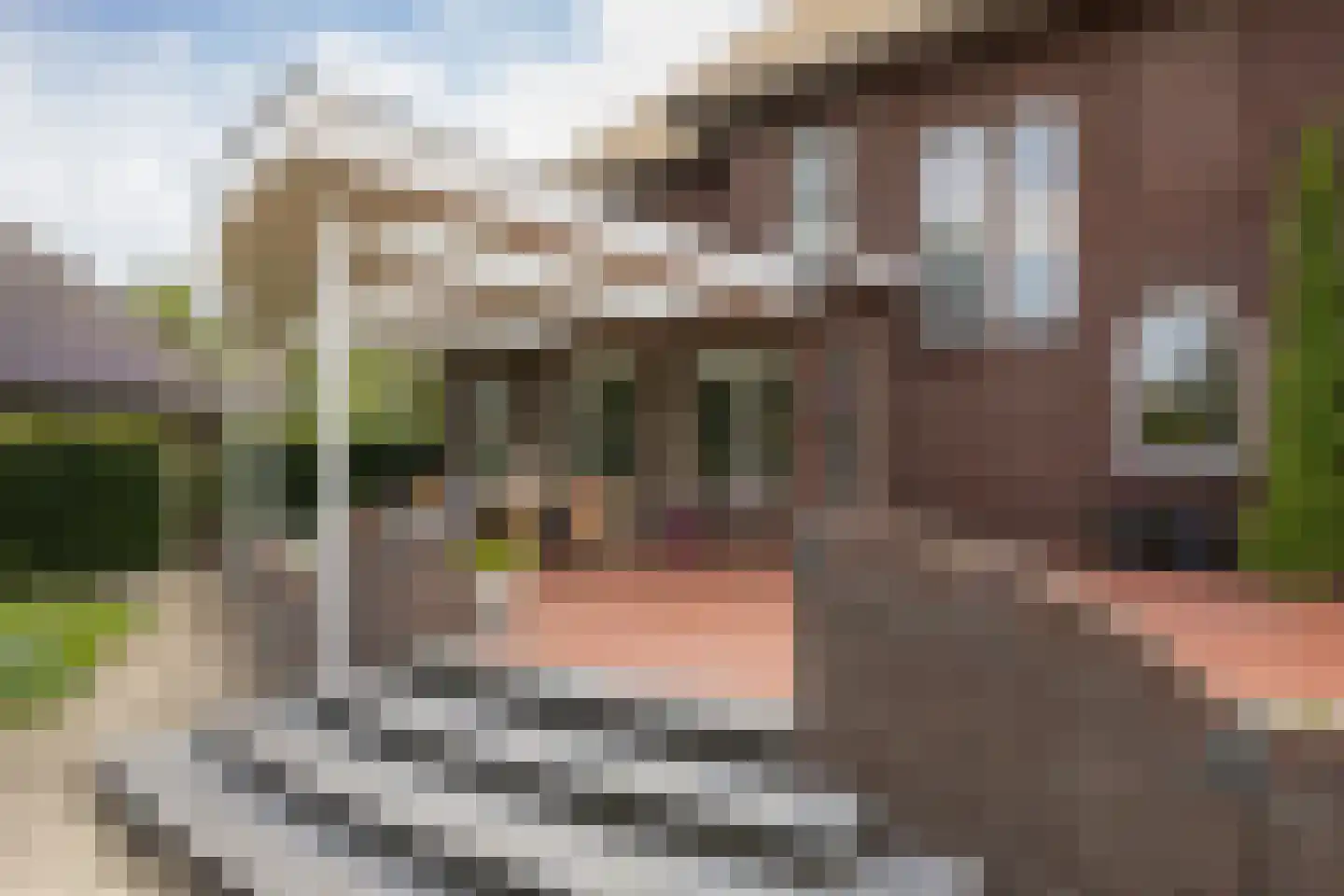Herstraat 61 Horst thumbnail 45