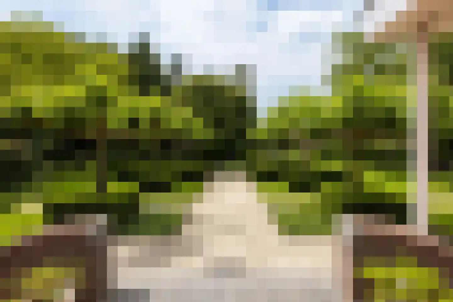 Herstraat 61 Horst thumbnail 47