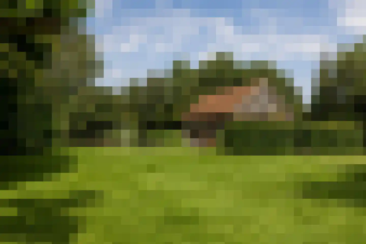 Herstraat 61 Horst thumbnail 50