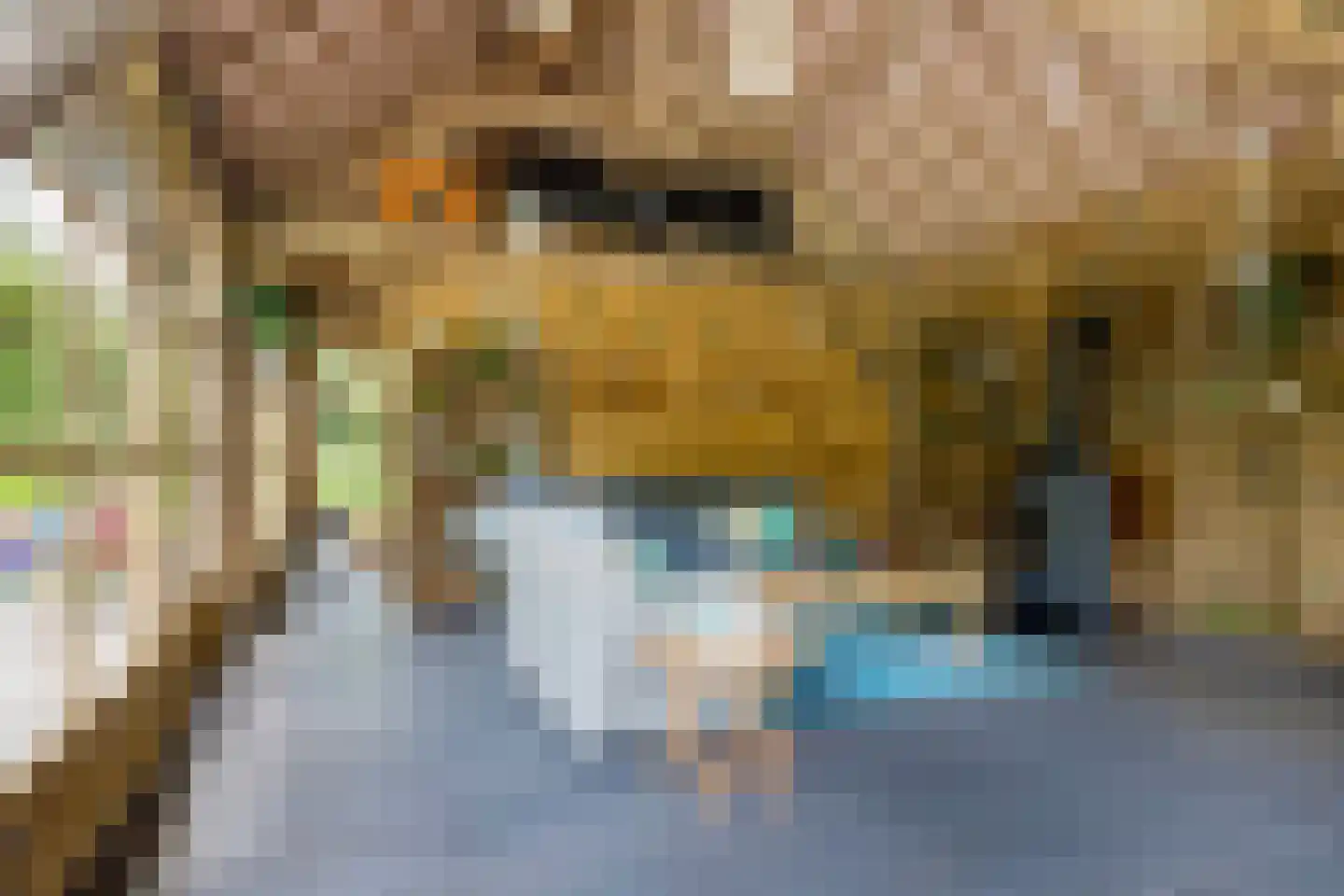 Herstraat 61 Horst thumbnail 56