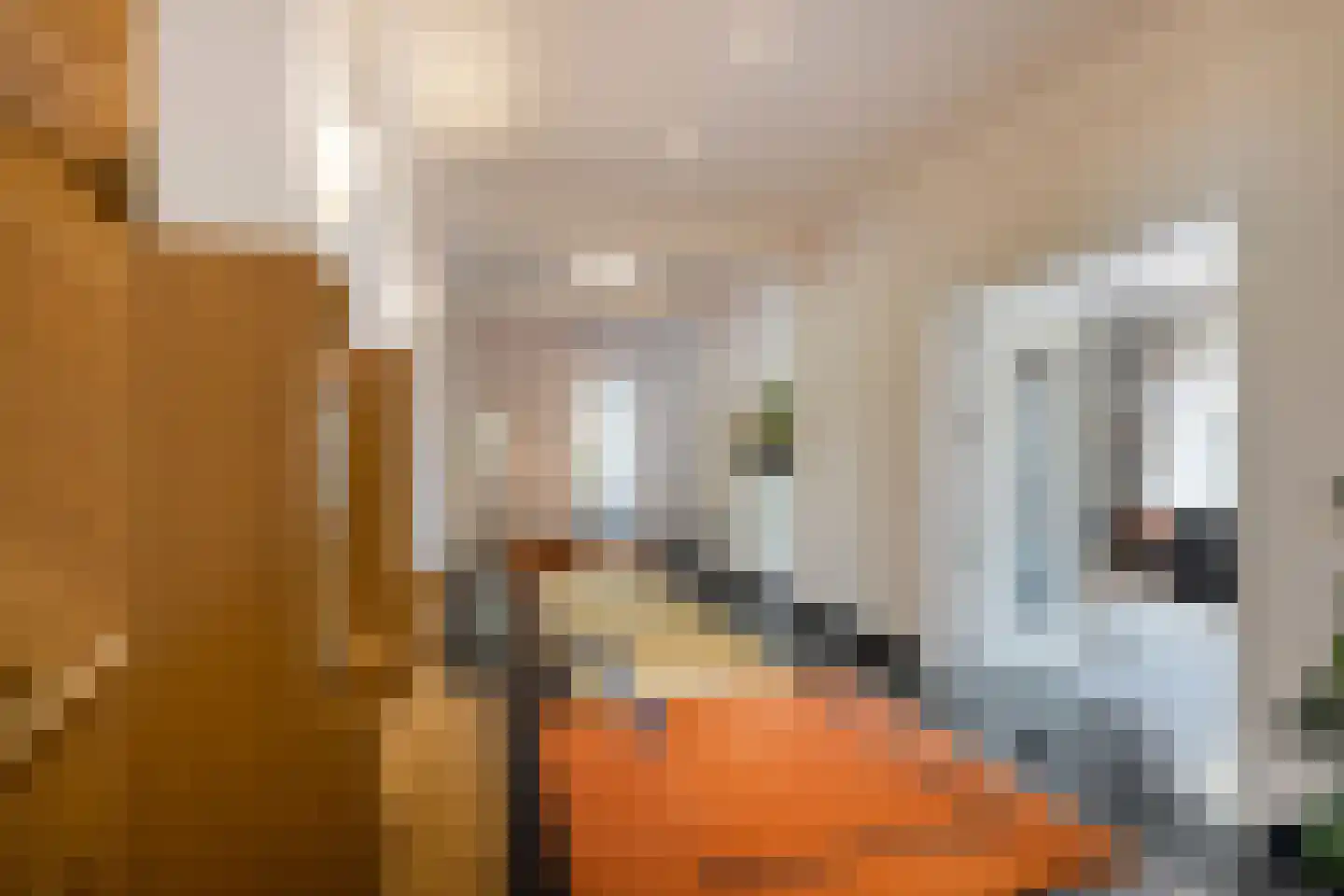 Herstraat 61 Horst thumbnail 8