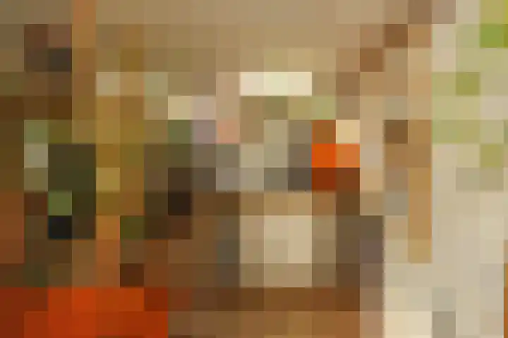 Hertekade 2 Rotterdam thumbnail 11