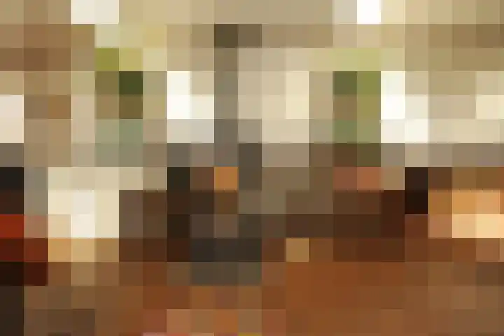 Hertekade 2 Rotterdam thumbnail 13