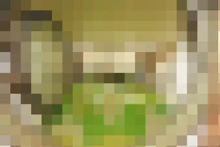 Hertekade 2 Rotterdam thumbnail 15