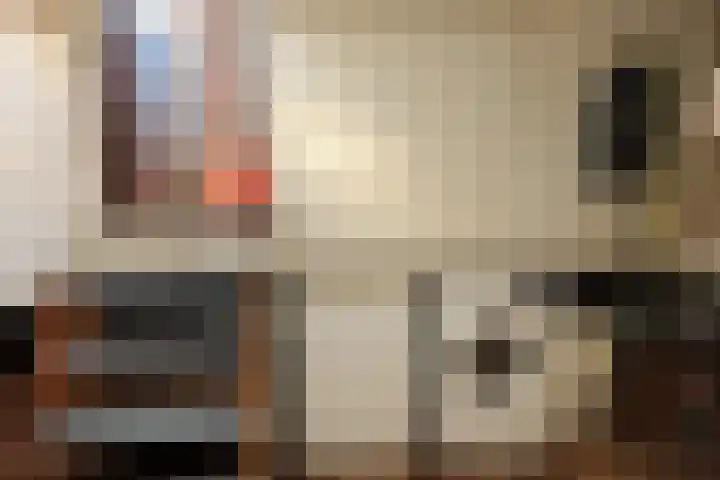 Hertekade 2 Rotterdam thumbnail 17