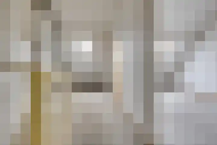 Hertenhoeve 3 Leusden thumbnail 20