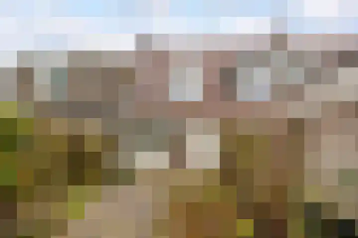 Hertenhoeve 3 Leusden thumbnail 24