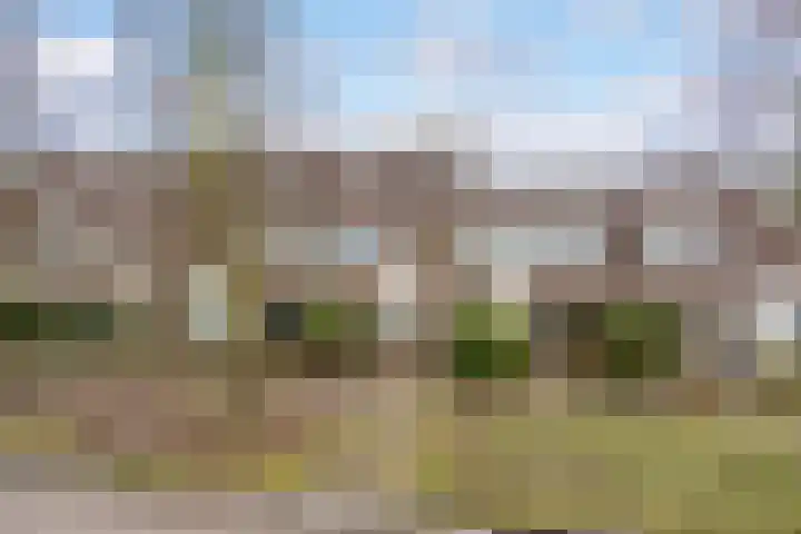Hertenhoeve 3 Leusden thumbnail 29