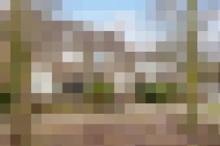 Hertenhoeve 3 Leusden thumbnail 32