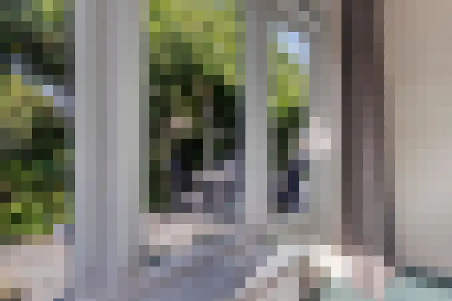 Hertenlaan 9 Hoeven thumbnail 11