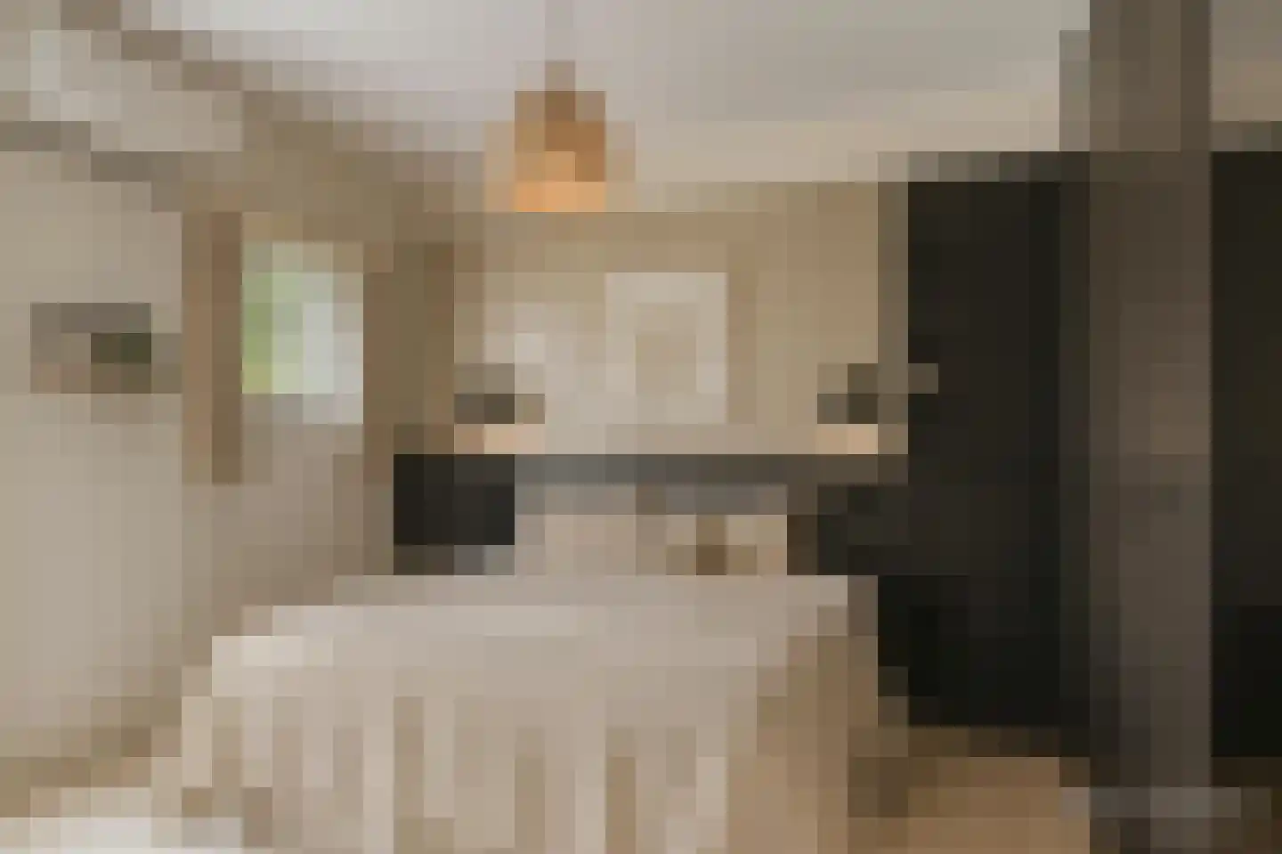 Hertenlaan 9 Hoeven thumbnail 29