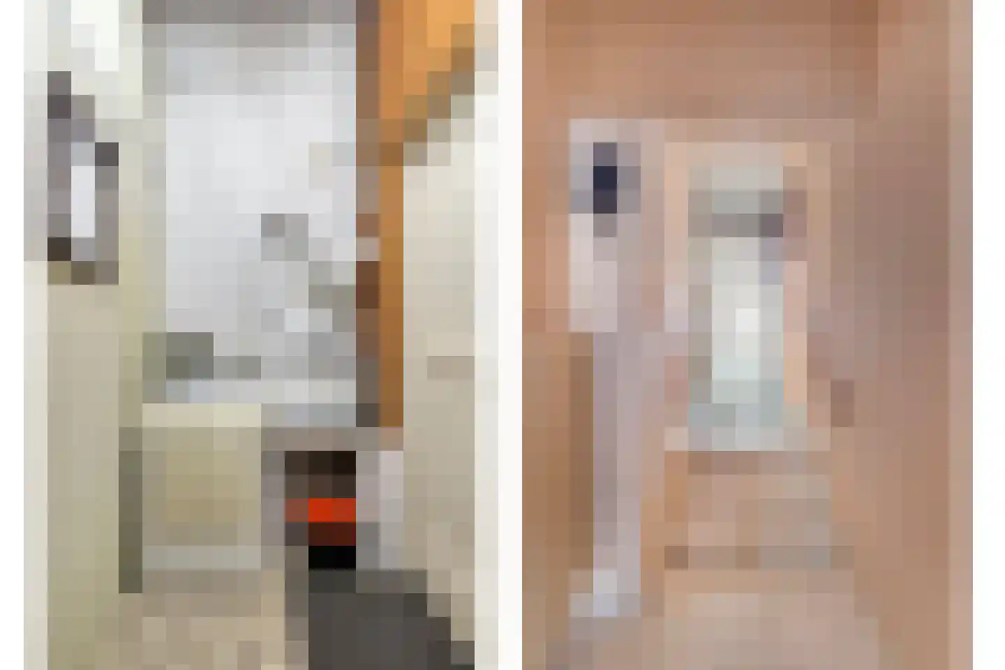 Hertenlaan 9 Hoeven thumbnail 37