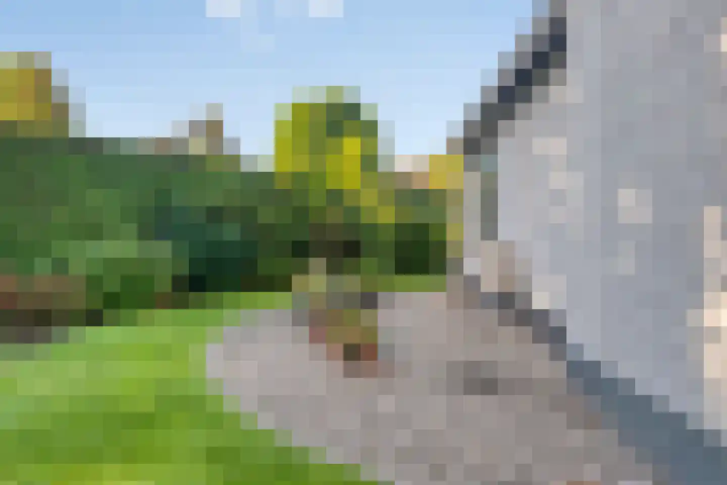 Hertenlaan 9 Hoeven thumbnail 49