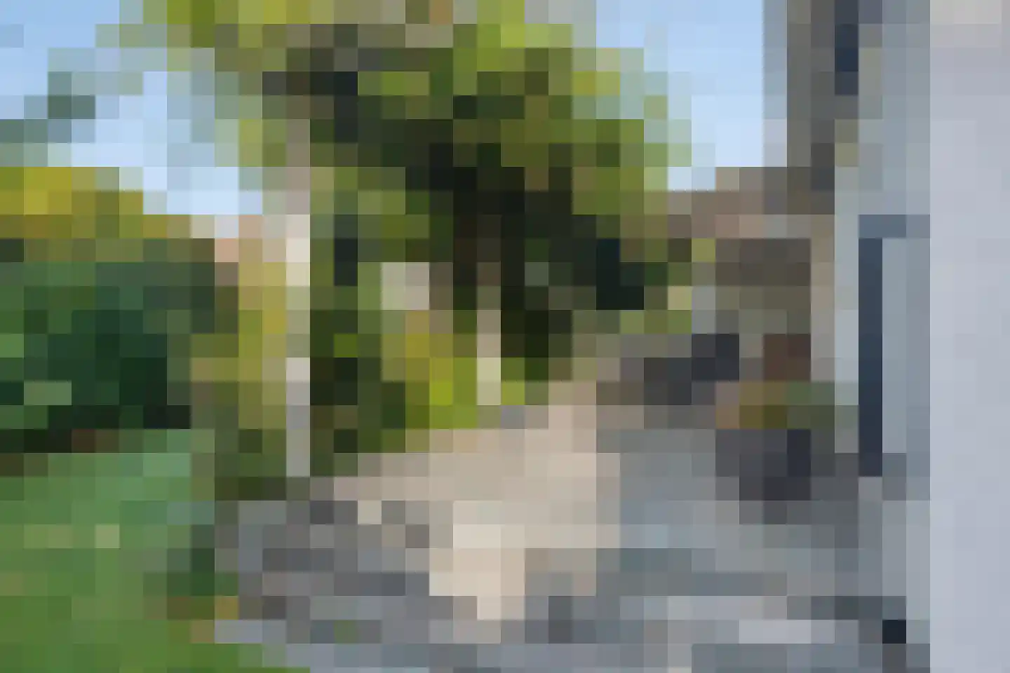 Hertenlaan 9 Hoeven thumbnail 50
